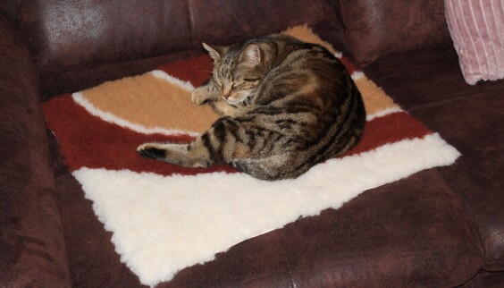 Tapis chauffant pour chat et chien isolant capte la chaleur 75x95x3