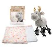 Coffret de Noël pour chien : Set couverture et doudou