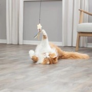 Canne à pêche étoile avec herbe à chat