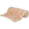 Couverture douce beige pour chien et chat