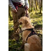 Harnais Bivouak technique pour chien