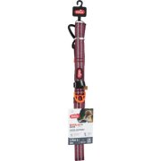 Collier pour chien bivouak : souple, léger et confortable