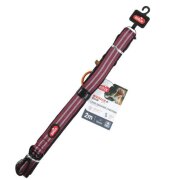 Laisse éducation 3 positions bivouak