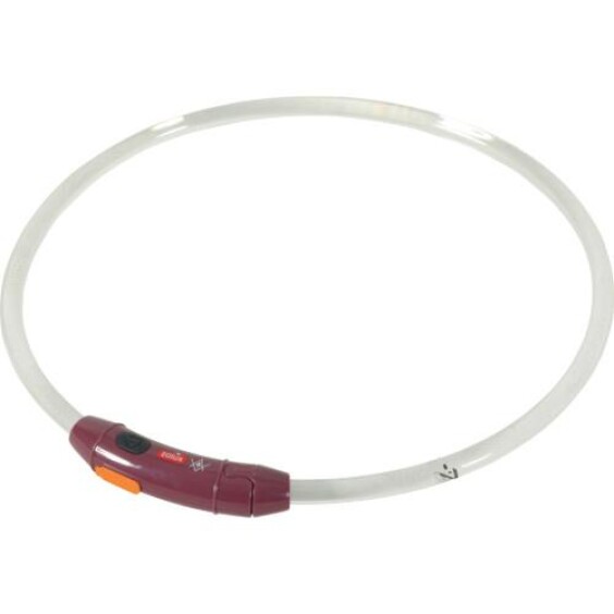 Collier lumineux pour chiens à poils courts rechargeable et ajustable