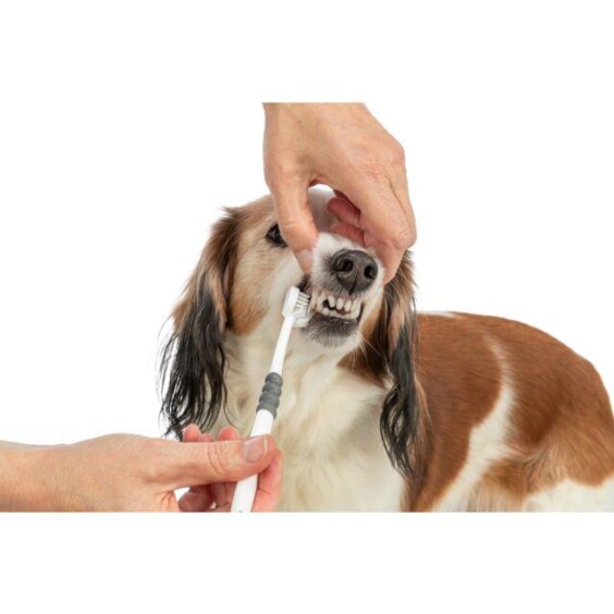 Brosse à dents pour chien et chat à 3 faces