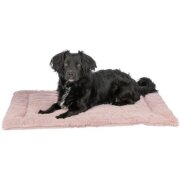 Matelas Lonni pour Chien : Confort, Douillet et Style Moderne