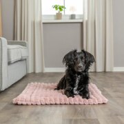 Matelas Lonni pour Chien : Confort, Douillet et Style Moderne