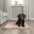 Matelas Lonni pour Chien : Confort, Douillet et Style Moderne