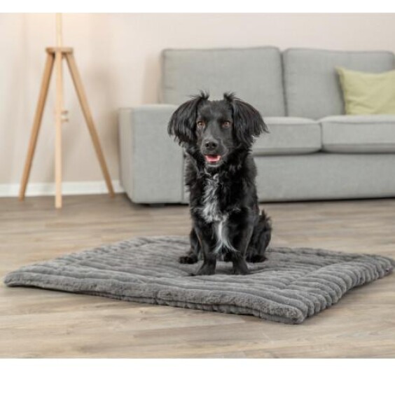 Matelas Lonni pour chien gris