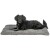Matelas Lonni pour Chien : Confort, Douillet et Style Moderne