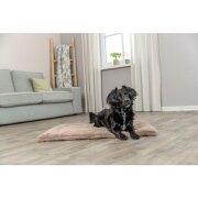 Matelas Lonni pour Chien : Confort, Douillet et Style Moderne