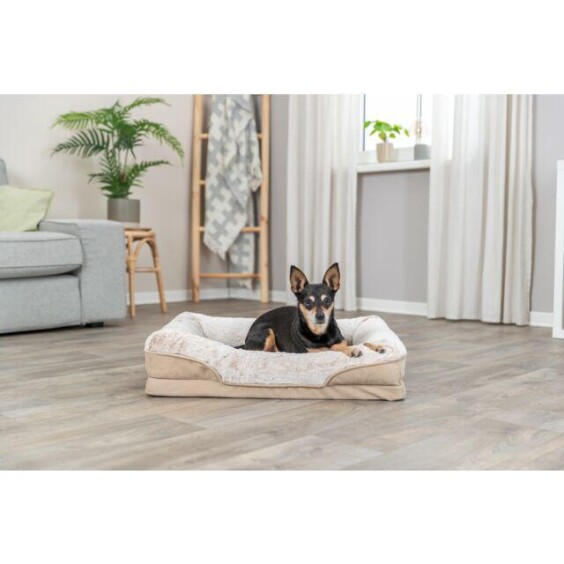 Lit orthopédique beige pour chien