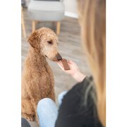 Filets Premio pour chien : 93 % de viande d’agneau