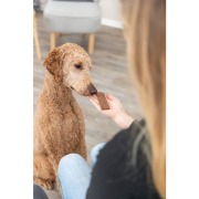 Filets pour chien à 93 % de viande d’agneau