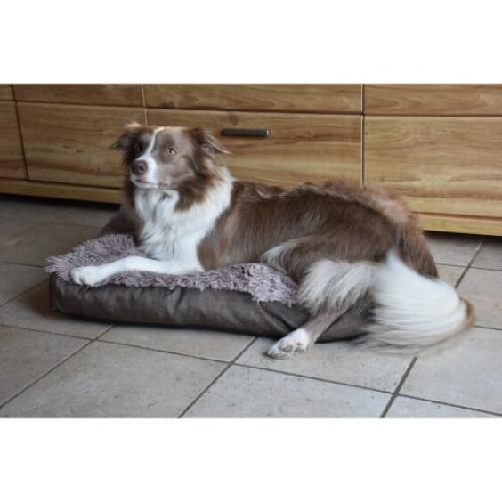 Matelas anti-stress pour chien beige