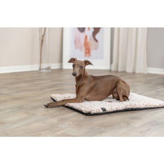 Matelas chauffant pour chien et chat