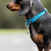 Médaille motif Cookie Bleu
