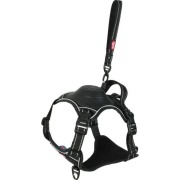 Harnais Easy Ride avec laisse enrouleur intégrée noir