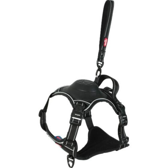Harnais Easy Ride avec laisse enrouleur intégrée, innovation 2025