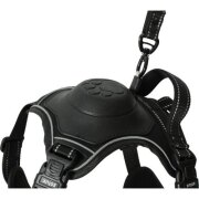 Harnais Easy Ride avec laisse enrouleur intégrée, innovation 2025