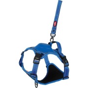 Harnais Easy Ride bleu avec laisse enrouleur intégrée