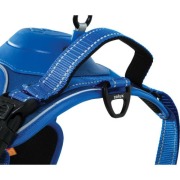 Harnais Easy Ride bleu avec laisse enrouleur intégrée