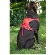 Harnais Easy Ride avec laisse enrouleur intégrée rouge