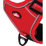 Harnais Easy Ride avec laisse enrouleur intégrée, innovation 2025