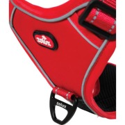 Harnais Easy Ride avec laisse enrouleur intégrée rouge