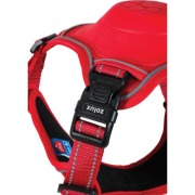 Harnais Easy Ride avec laisse enrouleur intégrée rouge