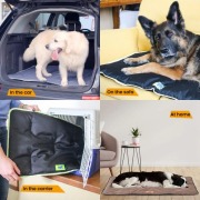 Tapis imperméable pour chien