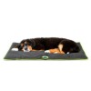 Tapis imperméable pour chien