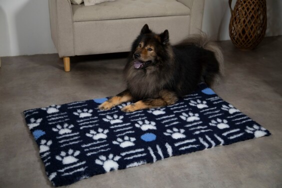 Tapis chauffant isolant pour chiens (variante) Zolux