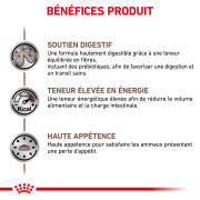 ROYAL CANIN Croquettes Vétérinaire Gastro Intestinal 2 kg
