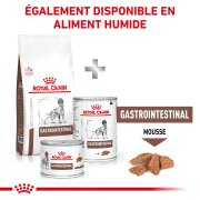 ROYAL CANIN Croquettes Veterinaire Gastro Intestinal