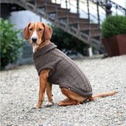 Pull langley pour chien, garde au chaud, ultra-doux