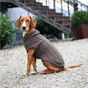 Pull Langley pour chien ultra-doux