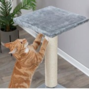Poteau griffoir pour chat Baena Gris