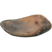 Corne de Buffle avec farce pour chien