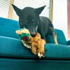 KONG Peluche Wild Low Stuff Faisan