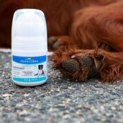Fortifiant Coussinets pour chien