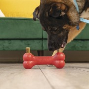 KONG Bâtonnets à mâcher Ziggies