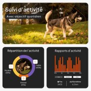 Traceur collier GPS Weenect XT pour chien