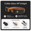 Collier traceur GPS pour chien