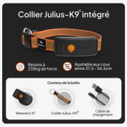 Traceur collier GPS Weenect XT pour chien