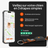 Collier traceur GPS pour chien