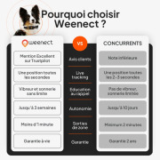 Collier traceur GPS pour chien