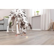 Friandises cookie véganes pour chien 1,3 kg