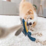 Jouet chien cuir véritable et corde monstre