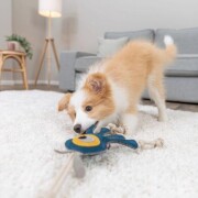 Jouet chien cuir véritable et corde monstre